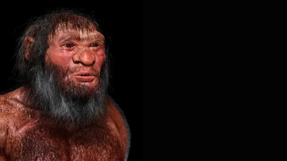 Reconstrução conceitual 3D de um denisovano baseado em crânio encontrado no nordeste da China.